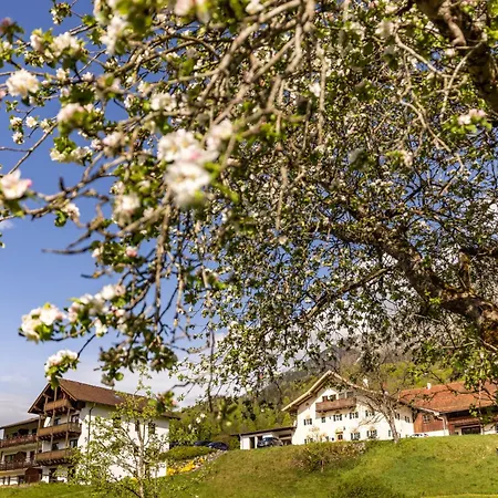 Am Gablerhof Διαμέρισμα *